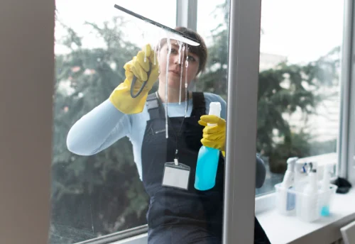 Nettoyage de vitres intérieures et extérieures à Chevrier